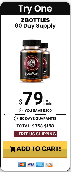 SodaPeak 2 Bottle